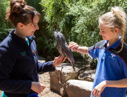 Two people at a park, one person holding a bird while another person gently touches its feathers