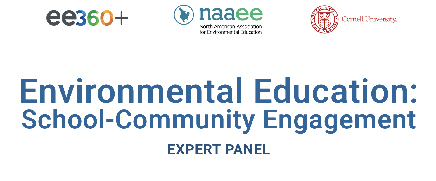 Panel title
