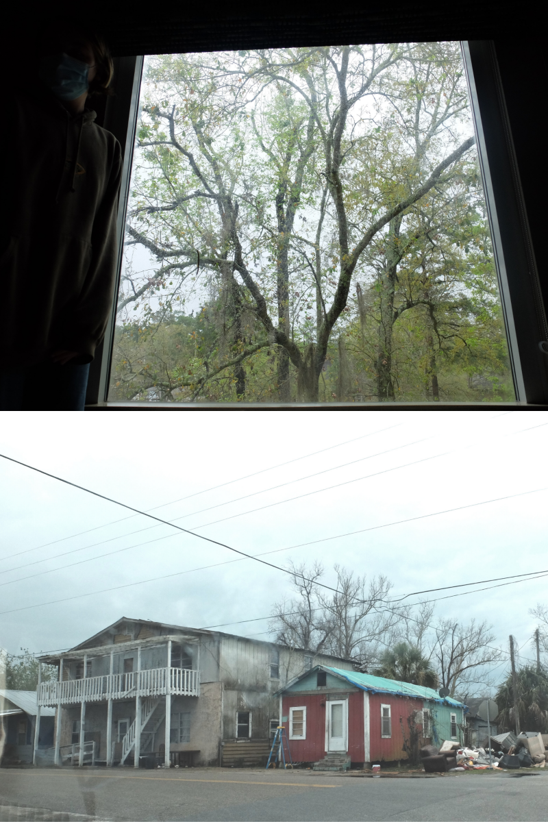 Two photos contrasting land use in Florida: A green tree with large leafy branches versus a timeworn multi-unit and single-family housing.
