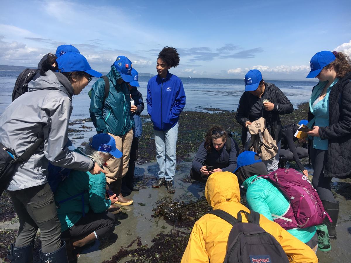 Seattle Aquarium Beach Naturalists.