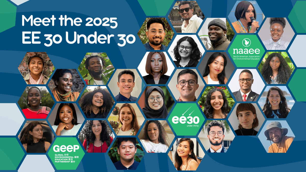 Hexagonal grid of EE 30 Under 30 Awardees