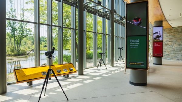 A tall open space with concrete floors and tall glass windows that overlook a pond. Scopes on stands and signage on birds stand in front of the windows. 