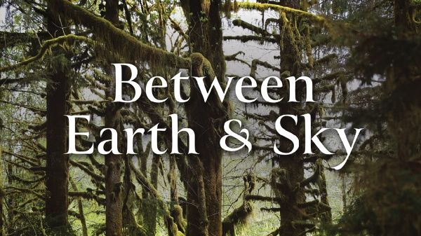 Text reads "Between Earth & Sky" over a background of forest trees