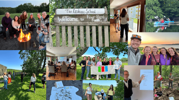 Collage of pictures from the Leading Beyond Green Institute 2023