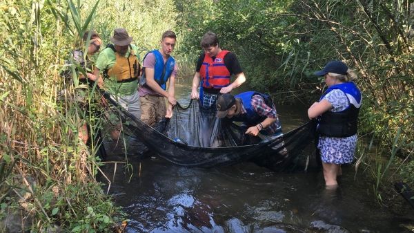 Six people wearing life jackets are standing in a creek. They are all holding onto a large black net, and looking at what’s inside. One person is bent over with their arm outstretched looking for something in the net. 