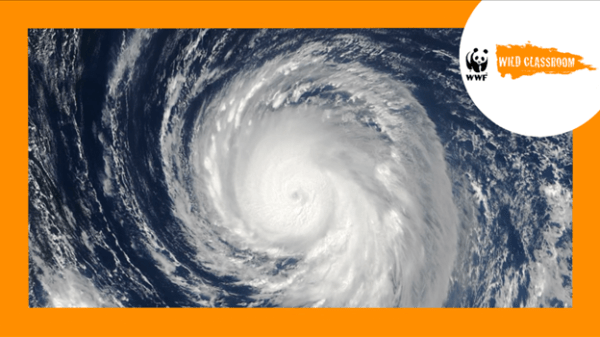 Severe storm from a sky view bordered by orange; the top right corner includes the WWF logo