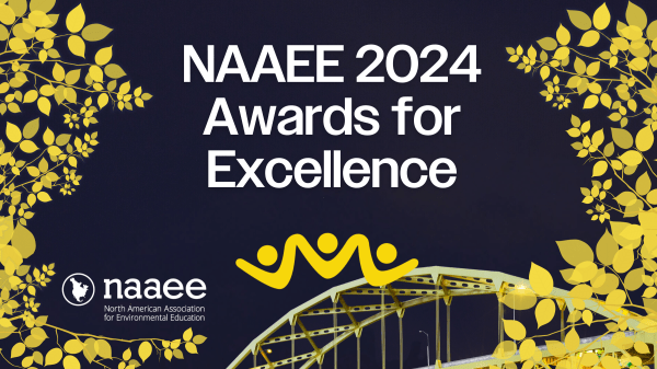 Graphic with a photo of a night sky with yellow bridge at the bottom, framed by golden leaves graphics, with text that says, "Awards for Excellence." NAAEE logo on the bottom left.