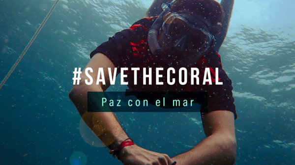 Saving the corals reef check project 2025 in Cartagena, Colombia; a diver faces the camera with blue water behind them