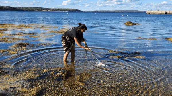 Woman standing in the water on a blue sky day. She is trawling with a DIY data collection device. 