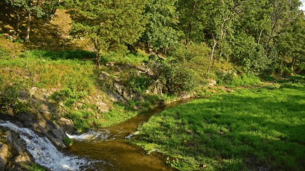 A green landscape on a hill covered in trees elevating to the left; a small body of running water cuts through it