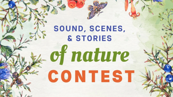 Illustrations of leaves, flowers, and butterflies frame the graphic and in the center is text: Sound, Scenes, and Stories of Nature Contest.
