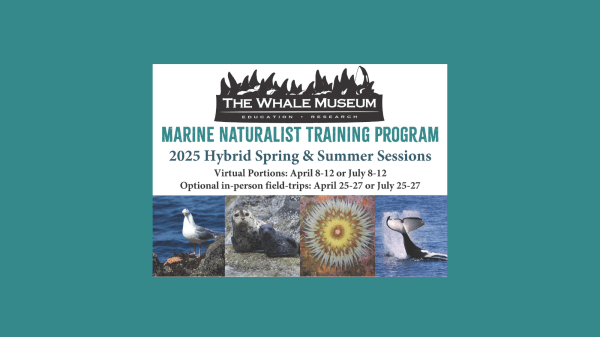 The Whale Museum logo on top, text reads "Marine Naturalist Training Program, 2025 Hybrid Spring & Summer Sessions, Virtual Portions: April 8-12 or July 8-12, Optional in-person field-trips: April 25-27 or July 25-27; below this is a gull, a seal, a sea anemone, and an orca's tail