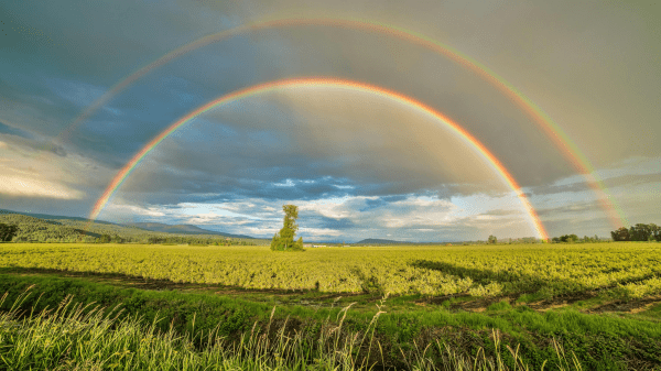 A double rainbow arcs across a cloudy sky above a grassy field