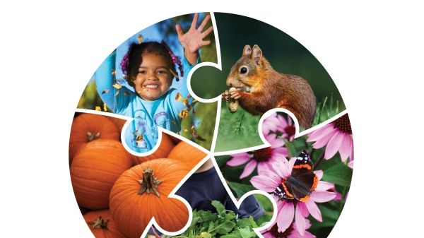 Cover of International Journal of Early Childhood  Environmental Education Addressing Policy, Practice, and Research That Matters,  Volume 12, Number 2