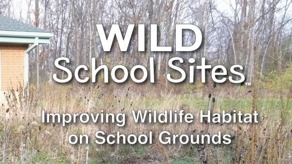 Cover of WILD School Sites pdf showing schoolyard habitat