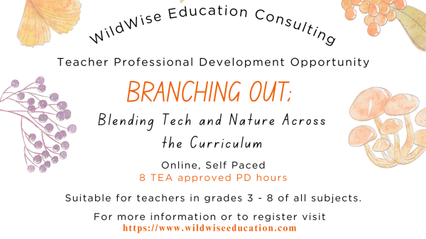 Flier for Branching Out; Blending Tech and Nature Across the Curriclum