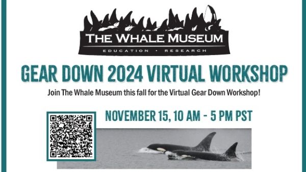 TWM's 2024 virtual Gear Down Workshop 