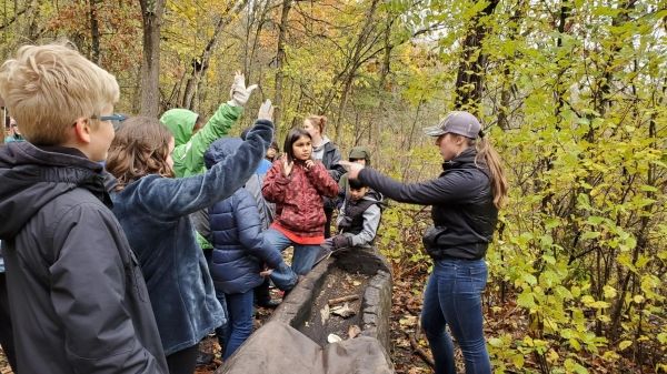 A group of children stand to the left of an adult pointing at a child raising their hand; between them is a log and behind them is a leafy forest