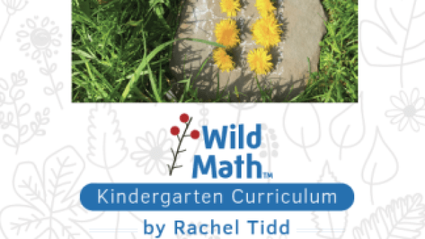 Cover art for Wild Match text