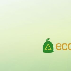 A lady bug on a leaf with horizontal text that says, ecoblitz