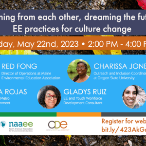Webinar: Learning from each other, dreaming the future: EE practices for culture change