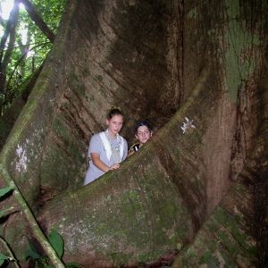 Students at the base of a Ceiba tree in Panama