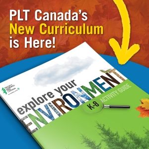 Explore Your Environment cover image