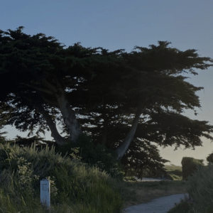 Coastal trail
