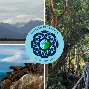 a collage of three images, one with a mountainscape, one of a group of sealions on a rock, and one of people walking through a temperate rainforest
