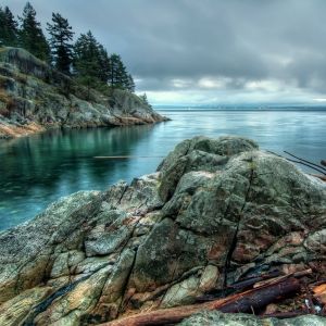 Calm Sea Beside Rock Formation With Trees