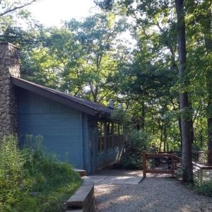 Lodge in the forest 