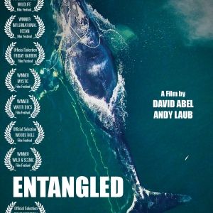 Entangled