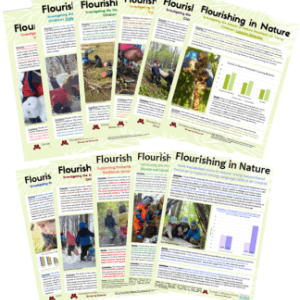 research briefs covers