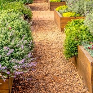 Raised beds in an urban garden growing plants herbs spices and vegetables