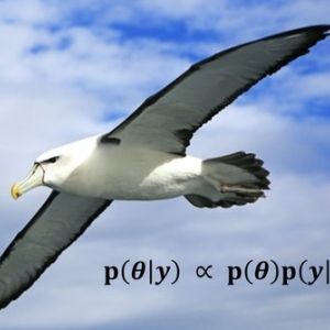 Photo of an albatross flying in the sky