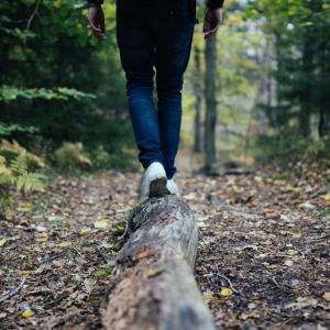Person walking on a log in a forested area