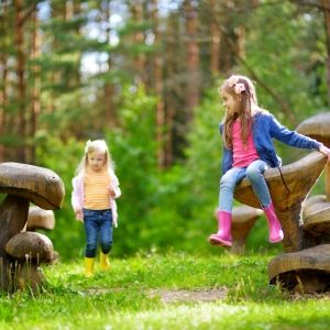 Kids play on top of wood-carved mushrooms