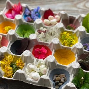 Children's creativity from the processing of the egg carton using natural material. Natural color hunt