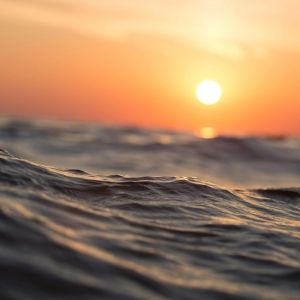 Close up of a wave at sunrise