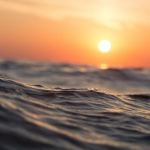 Close up photo of an ocean wave during Golden Hour