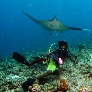  happy scuba diver and Manta in the blue background while diving maldives