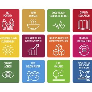 sustainable development goals chart of 17 goals in multicolor blocks
