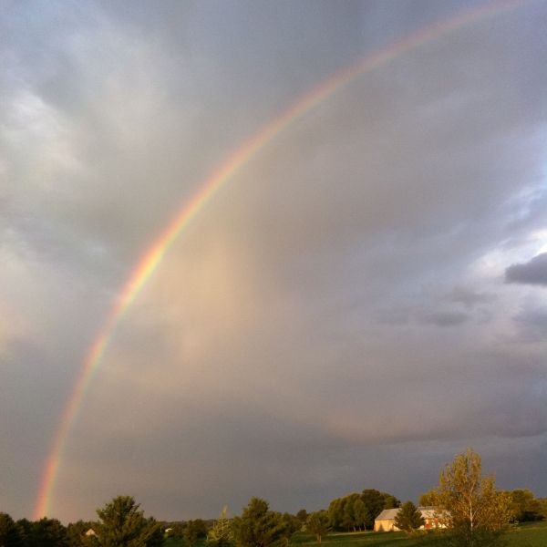 rainbow 
