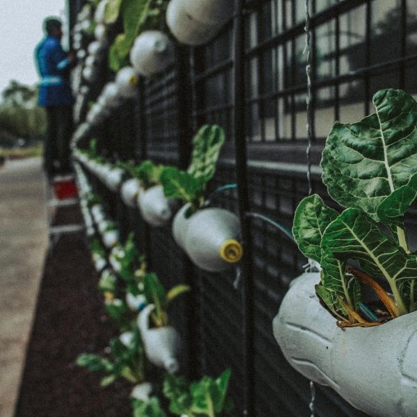 gardening at home