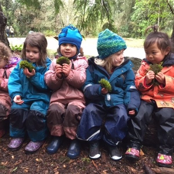 At Fiddleheads Forest School
